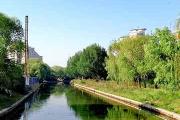 金價跳水解析：法網納達爾啟示，美股休市與一周天氣擾動