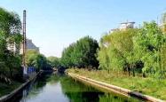 金價跳水解析：法網納達爾啟示，美股休市與一周天氣擾動